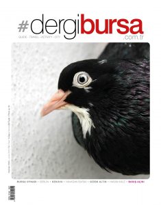 Dergi Bursa kapak