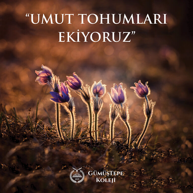 Sosyal Medya Postu_Gümüştepe Koleji